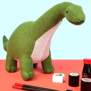 Are you looking for dinosaur toys for dinosaur mad kids? How about a Titanosaur, Plesiosaurus or a Pterodactyl? Find out more in our blog - see link on our profile page.